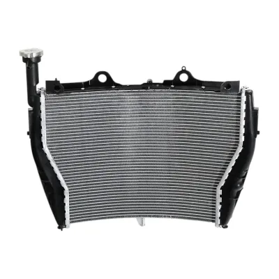 Radiator BMW S1000RR HP4 2009 2018 racire apa