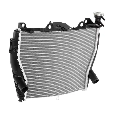 Radiator BMW S1000R 2017 2021 S1000XR 2015 2019 racire apa