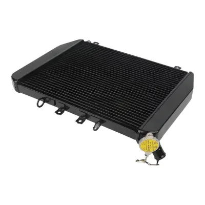 Radiator Kawasaki Ninja ZX12R ZX 12R 2000 2001 racire apa
