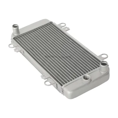 Radiator Kawasaki EX250 Ninja 250R 2008-2012