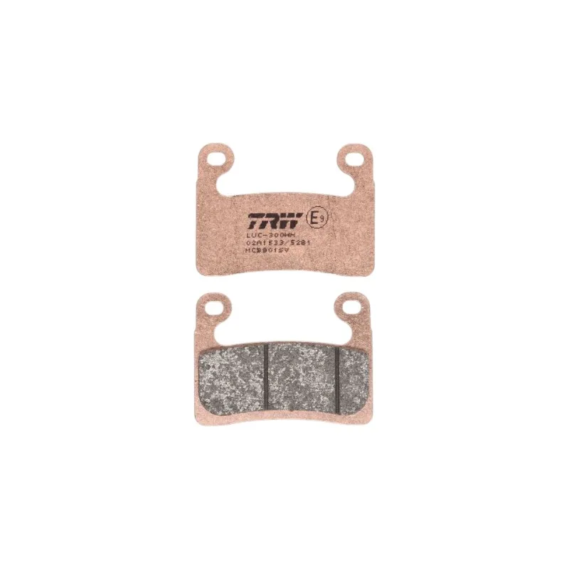 Placute Frana Fata Sinterizate TRW MCB901SV BMW R1250GS S1000RR