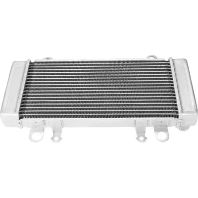 Radiator Kawasaki NINJA 300 2013-2017 ABS