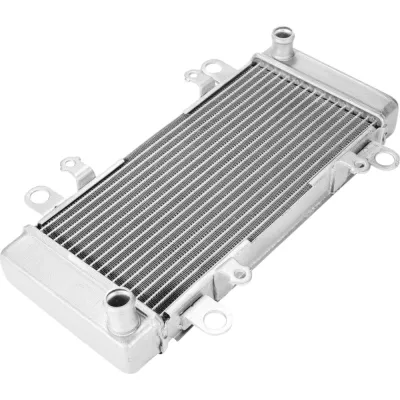 Radiator Kawasaki NINJA 300 2013-2017 ABS
