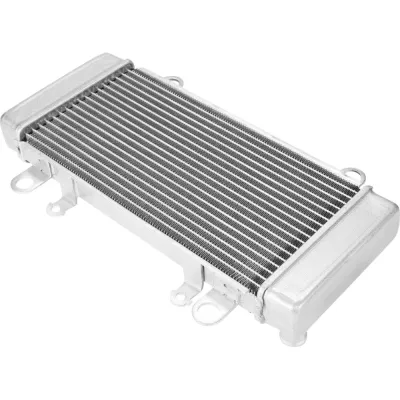 Radiator Kawasaki NINJA 300 2013-2017 ABS