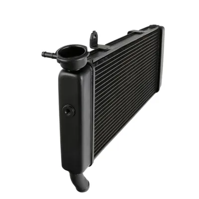 Radiator Kawasaki VERSYS 650 650ABS 2015-2022