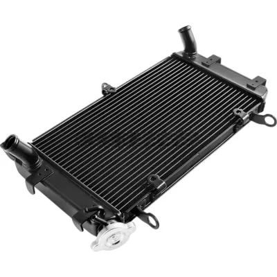 Radiator Kawasaki Ninja 400 500 Z400 Z500 2018-2024