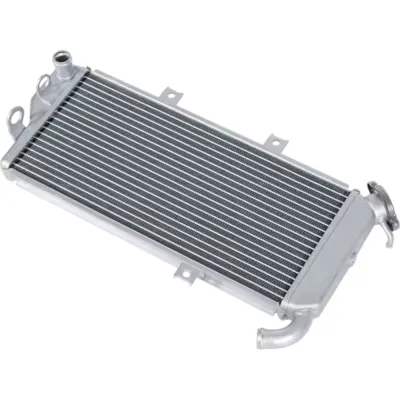 Radiator Kawasaki Ninja EX650 2012-2016