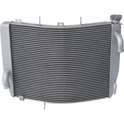Radiator Kawasaki Ninja ZX-14 ZX1400C ZX14R ZZR1400 2006-2011