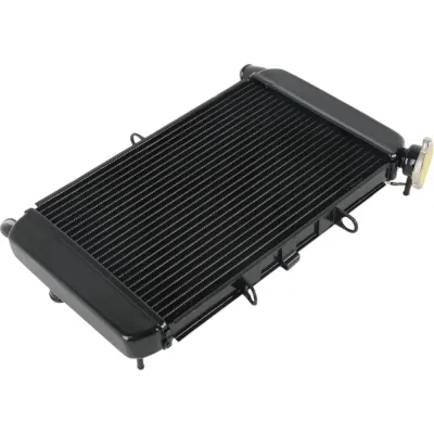 Radiator Yamaha XJ6 FZ6R 2009-2017