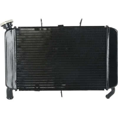 Radiator Yamaha XJ6 FZ6R 2009-2017