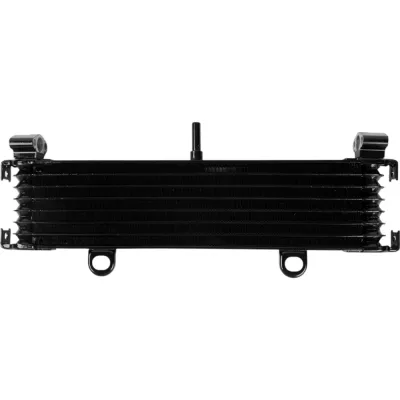 Radiator Yamaha XJR1300 1999-2013 XJR 1300