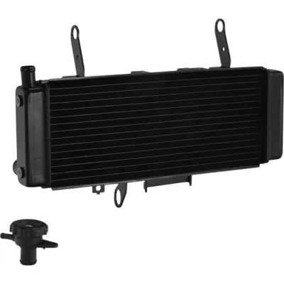 Radiator Suzuki SV650S SV650SA SV650A 2003-2004