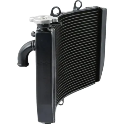 Radiator Honda CBR954 CBR 954RR 2002 2003