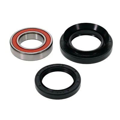 Kit Rulmenti roata spate TRX300 Fourtrax 1988-2000 All Balls 25-1123