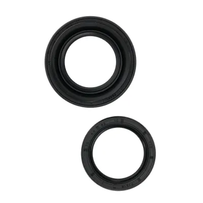 Kit Rulmenti roata spate TRX300 Fourtrax 1988-2000 All Balls 25-1123