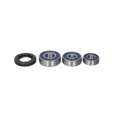 Kit Rulmenti roata spate GN125 GZ125 Marauder TU250 1982-2019 All Balls 25-1607