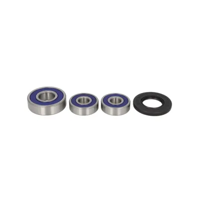 Kit Rulmenti roata spate Suzuki DR650 GS550 GS700 LS650 Savage 1979-2019 All Balls 25-1347