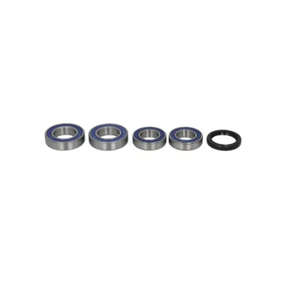 Kit Rulmenti Roata Spate DUCATI GT MONSTER MULTISTRADA SPORT ST2 ST3 ST4 ST4S All balls 25-1668