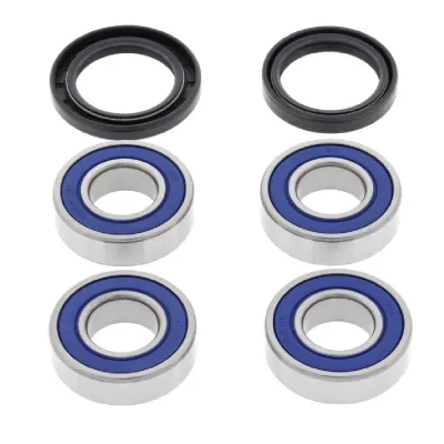 Kit Rulmenti Roata spate BMW 650 CHALLENGE COUNTRY All Balls 25-1672