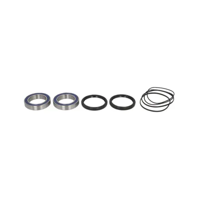 Kit Rulmenti Roata spate Honda TRX ATV300 Sport Assault All Balls 25-1320