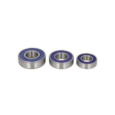 Kit Rulmenti Roata spate Honda Goldwing Kawasaki All Balls 25-1056