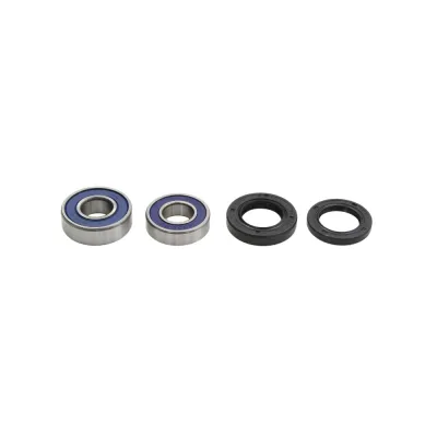 Kit Rulmenti Roata spate All Balls Honda Suzuki 25-1160