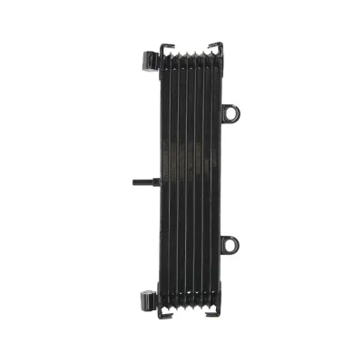 Radiator YAMAHA XJR 1300 1999-2003