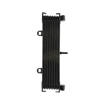 Radiator YAMAHA XJR 1300 1999-2003