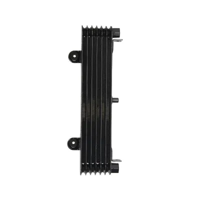 Radiator YAMAHA XJ 900 1995-2003 Diversion