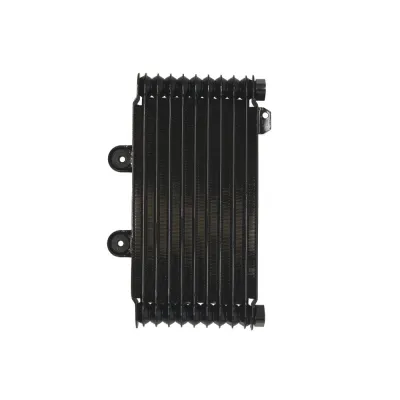 Radiator SUZUKI GSF 600/650 1995-2006 Bandit ABS
