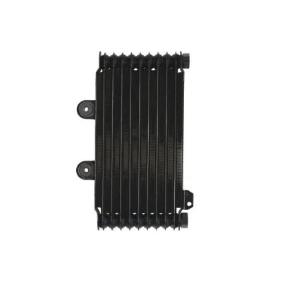 Radiator SUZUKI GSF 600/650 1995-2006 Bandit ABS
