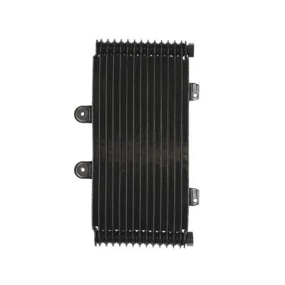 Radiator SUZUKI GSF 1200 2001-2006 Bandit