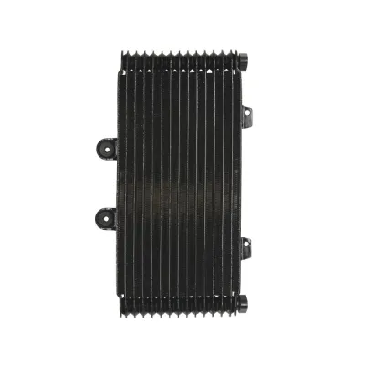 Radiator SUZUKI GSF 1200 2001-2006 Bandit