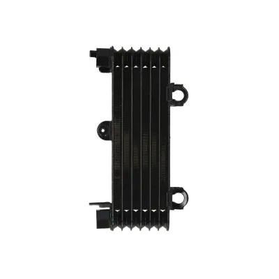 Radiator SUZUKI DL TL 1000 1997-2006 RAD-553 VStorm