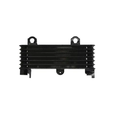Radiator SUZUKI DL TL 1000 1997-2006 RAD-553 VStorm