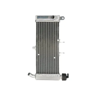 Radiator APRILIA RS4 125 2011 2017 RAD-644