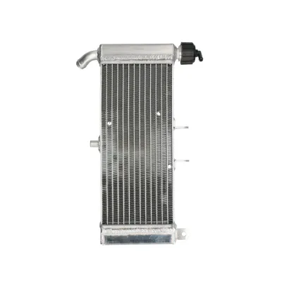Radiator APRILIA RS4 125 2011 2017 RAD-644