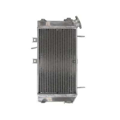 Radiator SUZUKI SFV 650 2009 2016 Gladius
