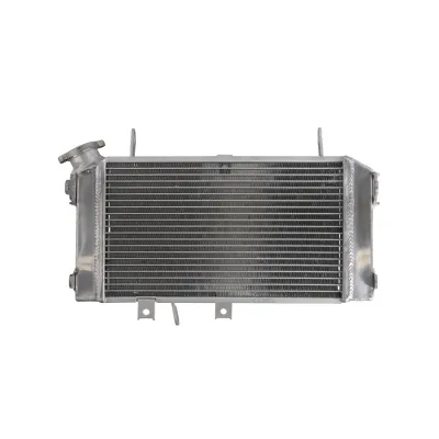 Radiator SUZUKI SFV 650 2009 2016 Gladius