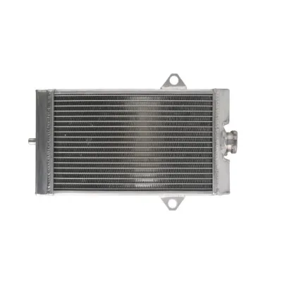 Radiator YAMAHA YXR 450 660 2004-2009 Rhino
