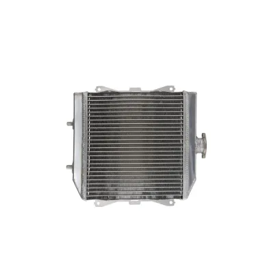 Radiator HONDA TRX 420 500 2007 2014