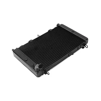 Radiator Moto Yamaha FZS 1000 Fazer 2001-2005