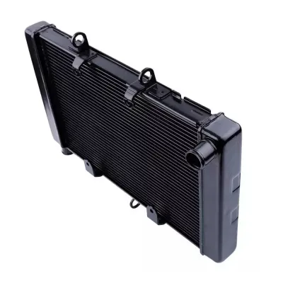 Radiator Moto Honda CB 1000 R 2011-2016 CBF 1000