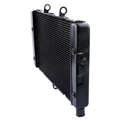 Radiator Moto Honda CB 1000 R 2011-2016 CBF 1000