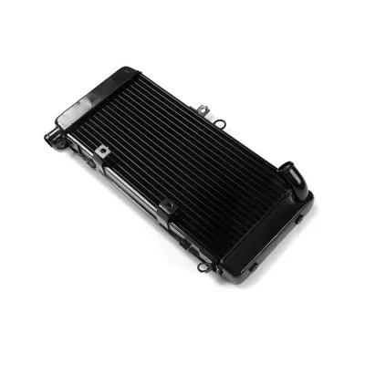 Radiator Moto Honda Hornet 900 2002-2005