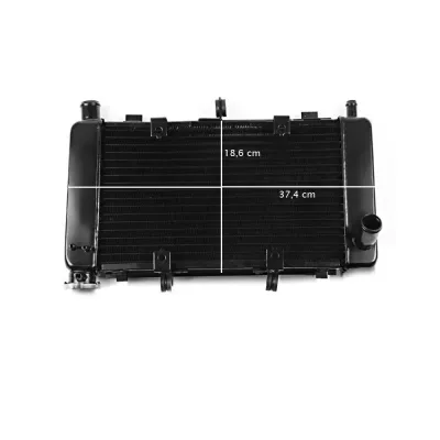 Radiator Moto Yamaha FZ6 2004-2006
