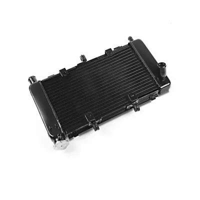 Radiator Moto Yamaha FZ6 2004-2006