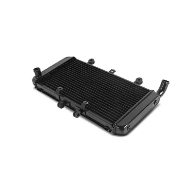 Radiator Moto Honda CB 1300 2003-2009