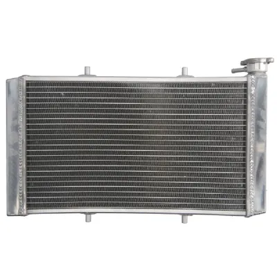 RADIATOR YAMAHA YXC YXE YXM 700 2014-2022