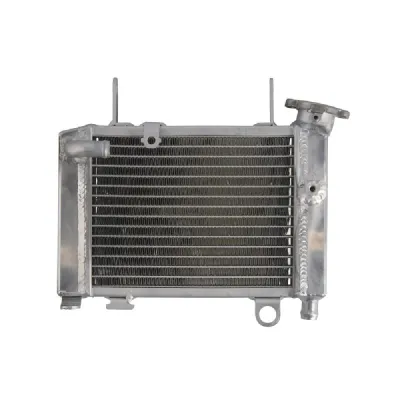 RADIATOR HONDA CBR 125 2012 2017